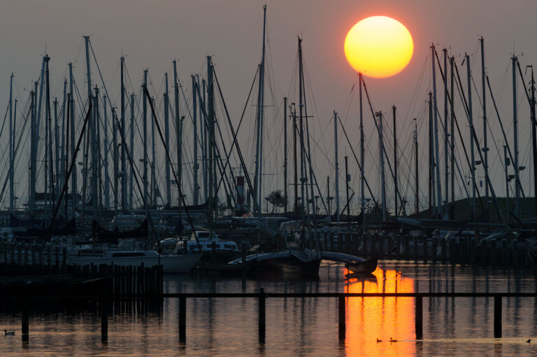 Catamarans and other sailing boats in marina with rising sun