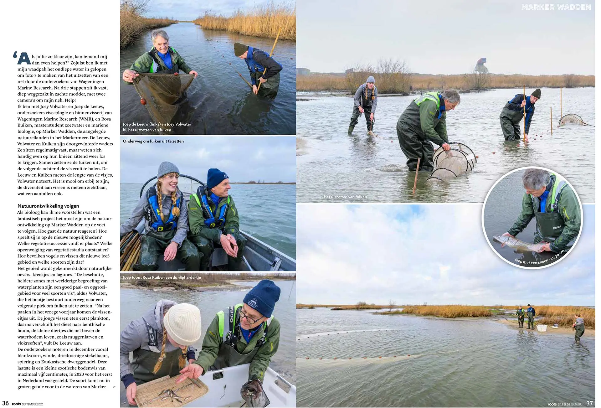 Marker Wadden, vogelparadijs en kraamkamer van vis, in Roots magazine. Tekst en fotografie: Martin van Lokven.