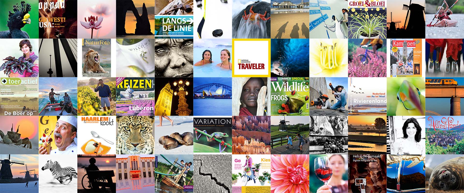 Collage van foto's die het werk van Martin van Lokven weergeeft.