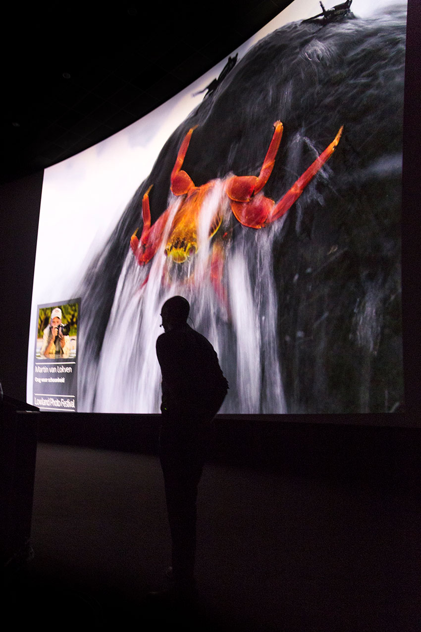 Martin van Lokven gedurende zijn presentatie, met een rode rotskrab op het scherm.