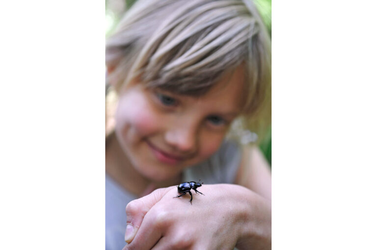 Een meisje kijkt naar een kever op haar hand