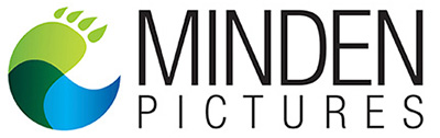 Minden Pictures logo