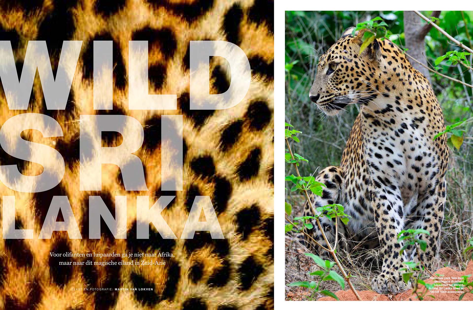 Twee pagina's uit mijn National Geographic artikel Wild Sri Lanka.