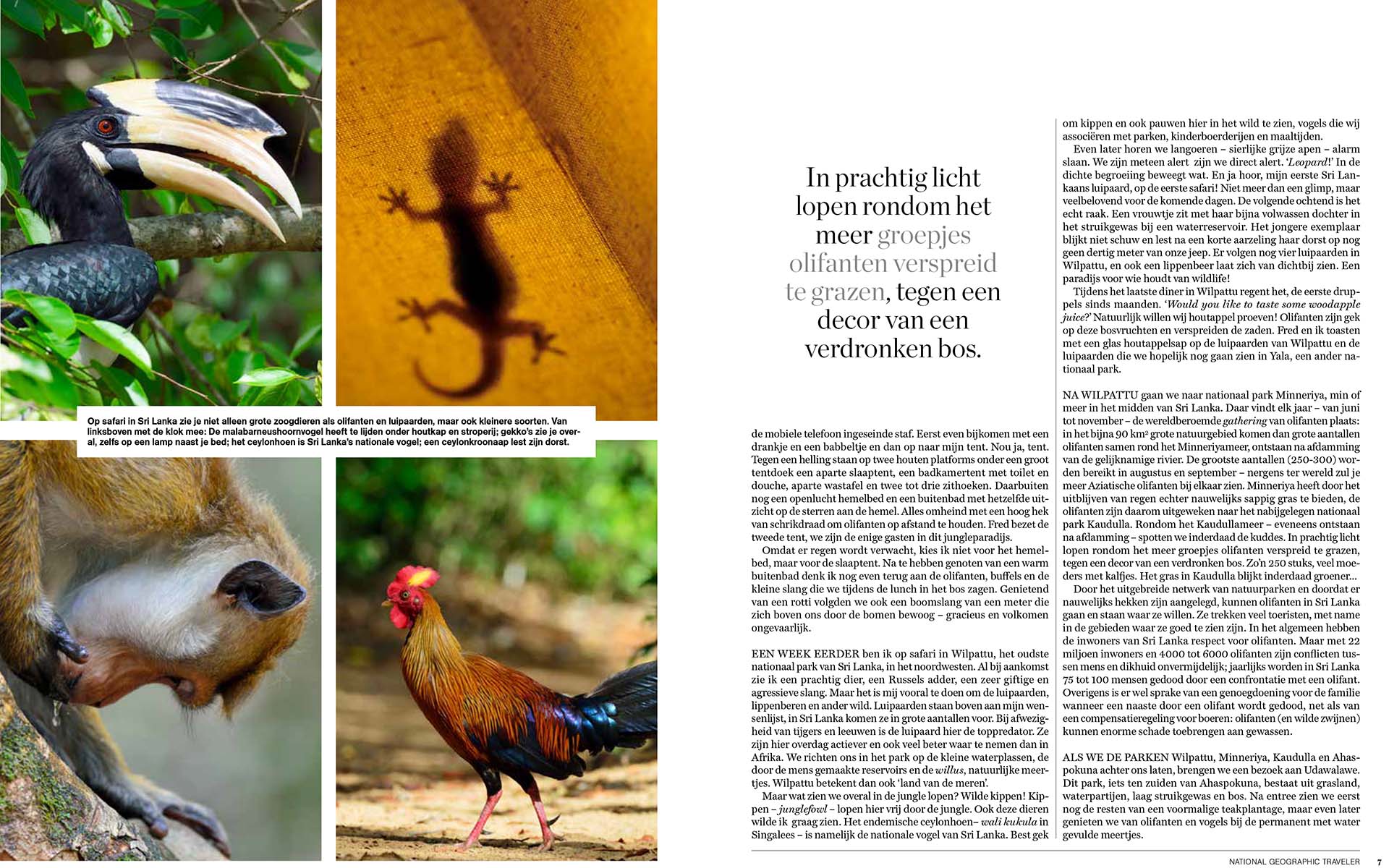Twee pagina's uit artikel Wild Sri Lanka door Martin van Lokven in National Geographic artikel.