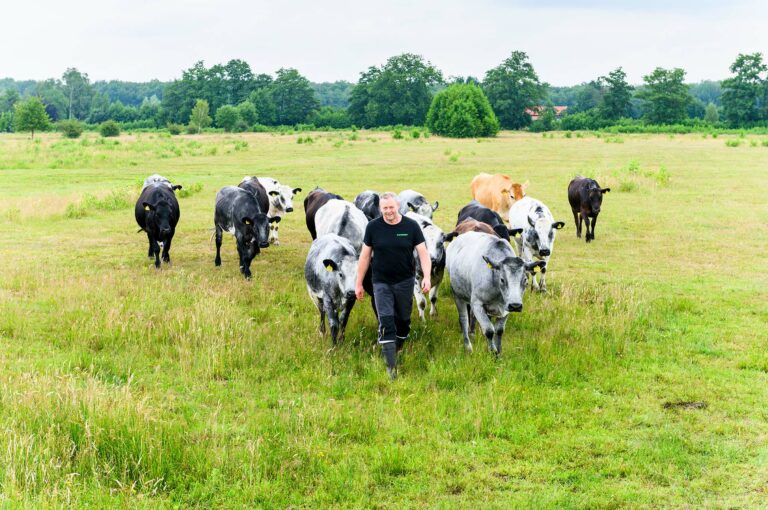 Farmer and cattle