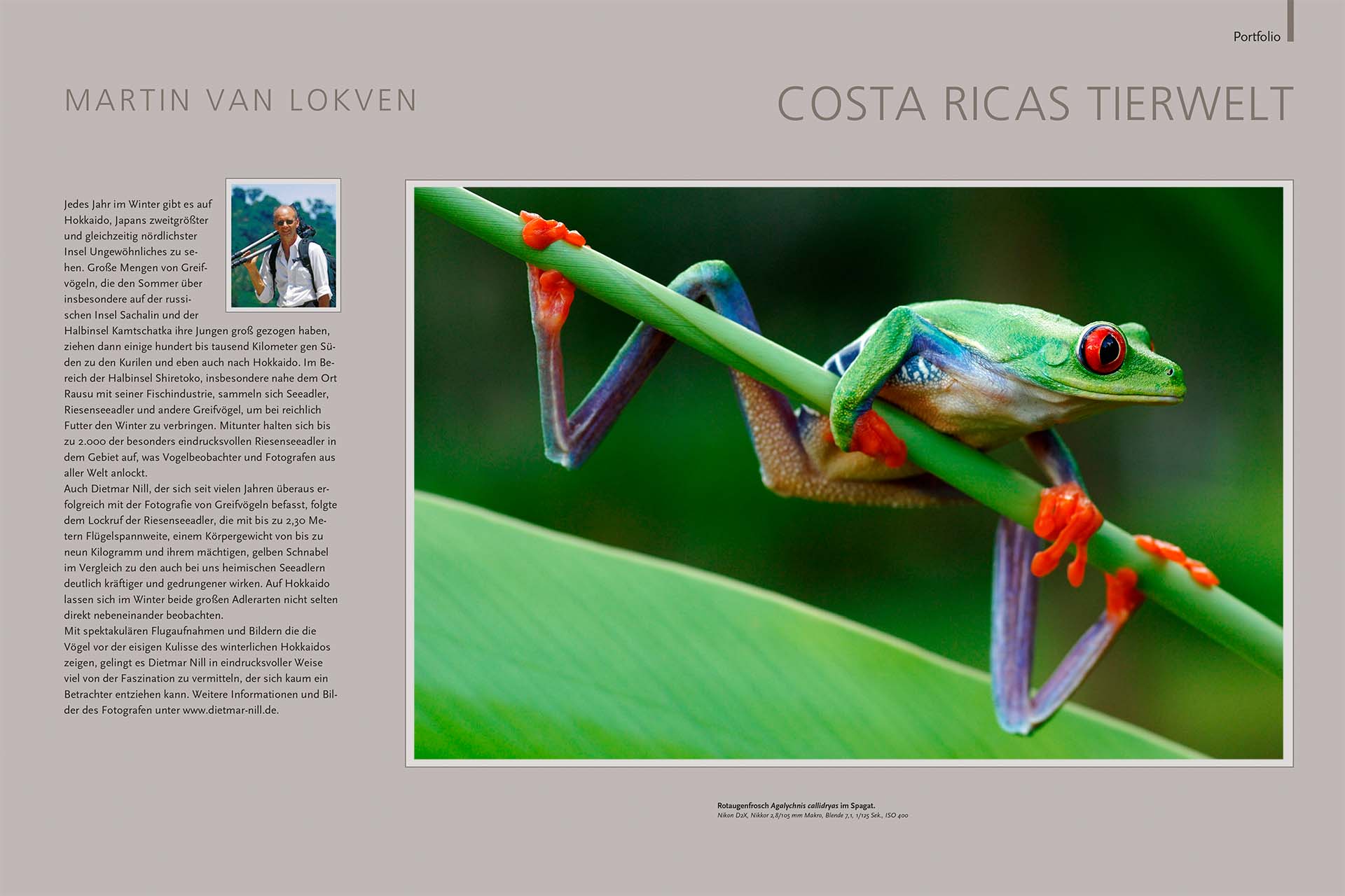 Tien pagina's over de wildlife van Costa Rica in het Duitse tijdschrift NaturFoto.