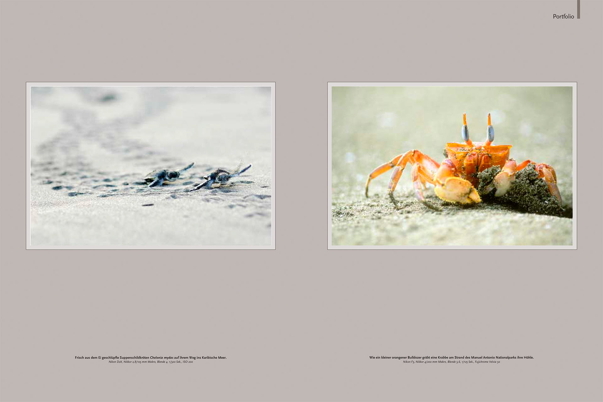 Tien pagina's over de wildlife van Costa Rica in het Duitse tijdschrift NaturFoto.