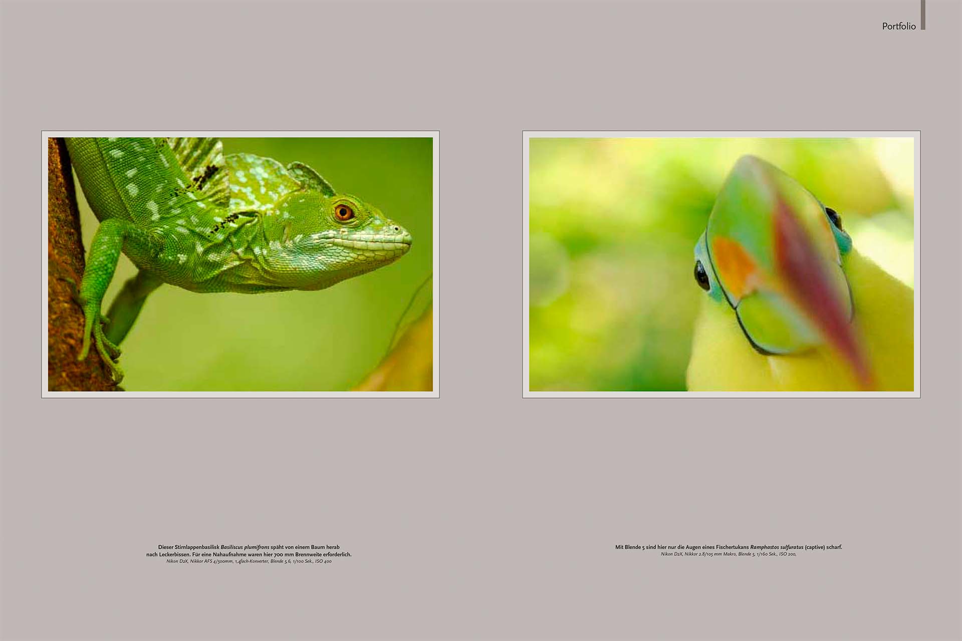 Ten pages of article about wildlife of Costa Rica in the German magazine NaturFoto.