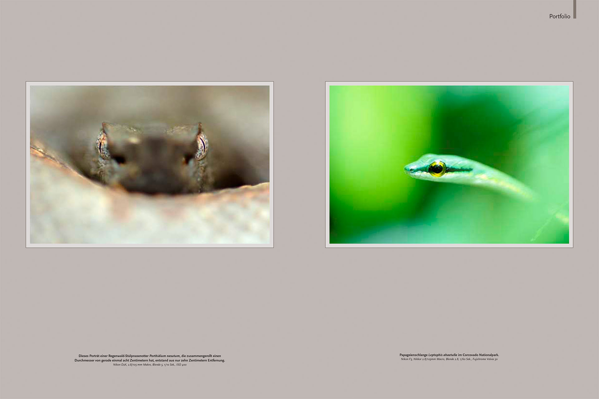 Ten pages of article about wildlife of Costa Rica in the German magazine NaturFoto.