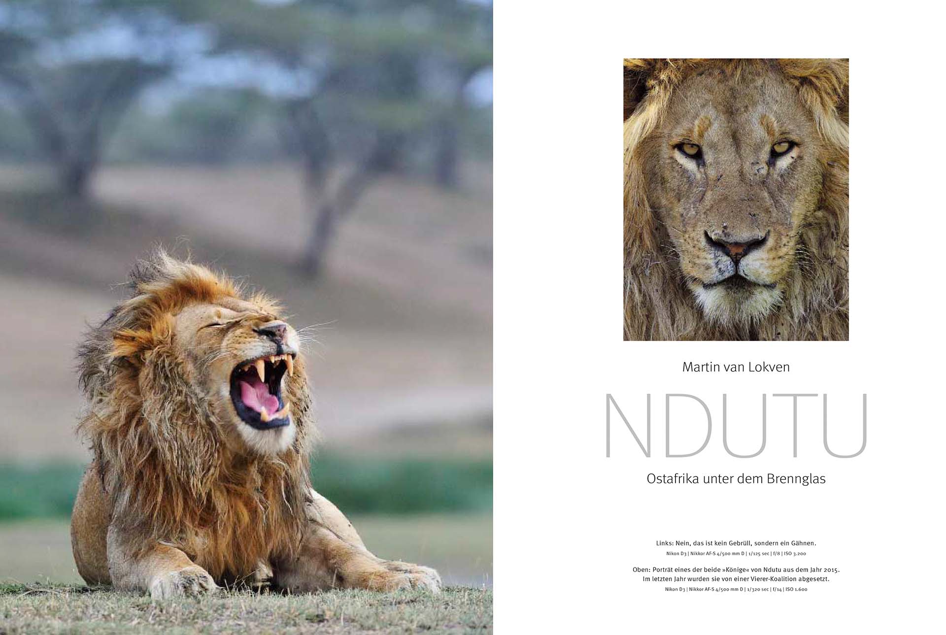 Tien pagina artikel over de wildlife van Ndutu in het Duitse tijdschrift NaturFoto.