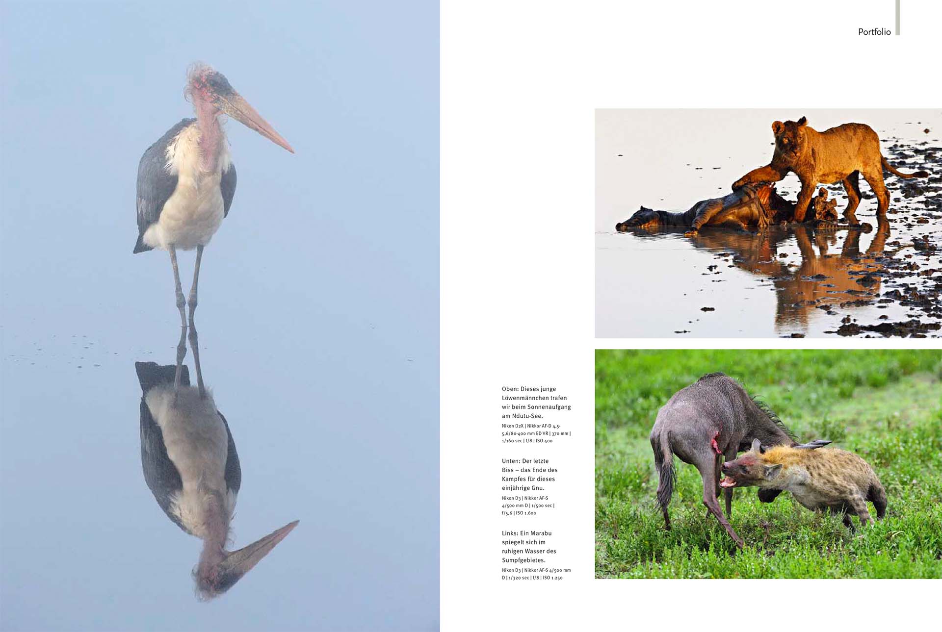 Tien pagina artikel over de wildlife van Ndutu in het Duitse tijdschrift NaturFoto.