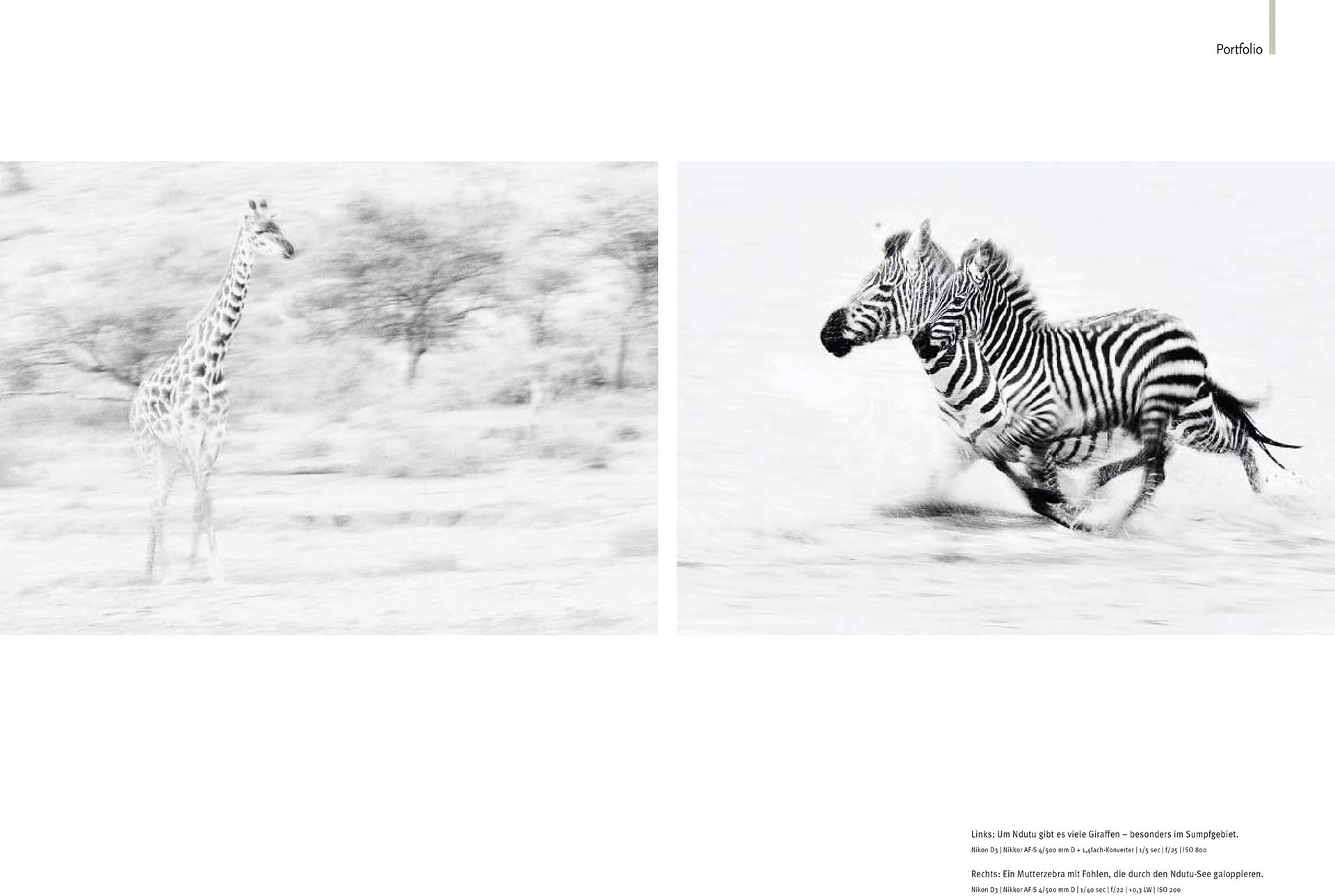 Ten pages of article about wildlife of Ndutu in the German magazine NaturFoto.