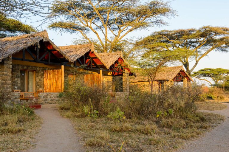 Cottages of lodge with acacia trees