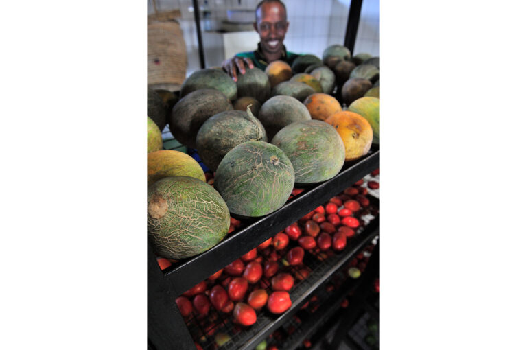 Fresh food stock with melons