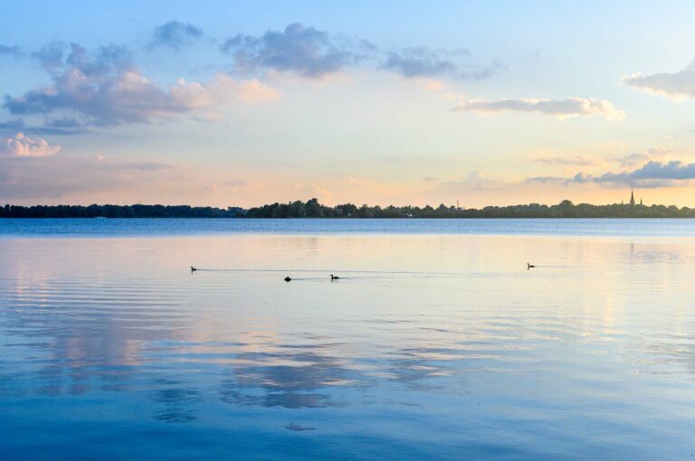 Meer, de Spiegelplas met watervogels