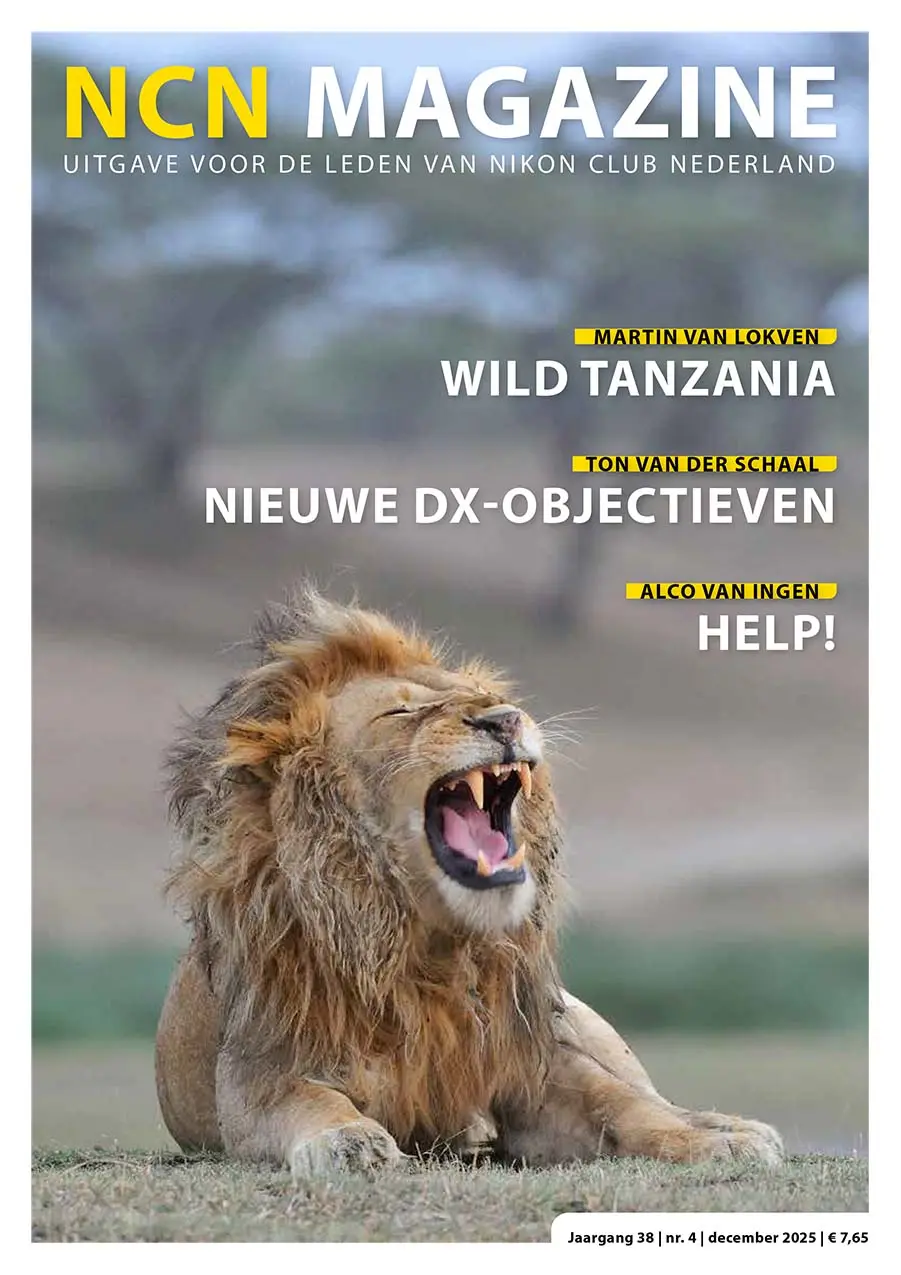 Leeuw op cover van Nikon Club Nederland Magazine.