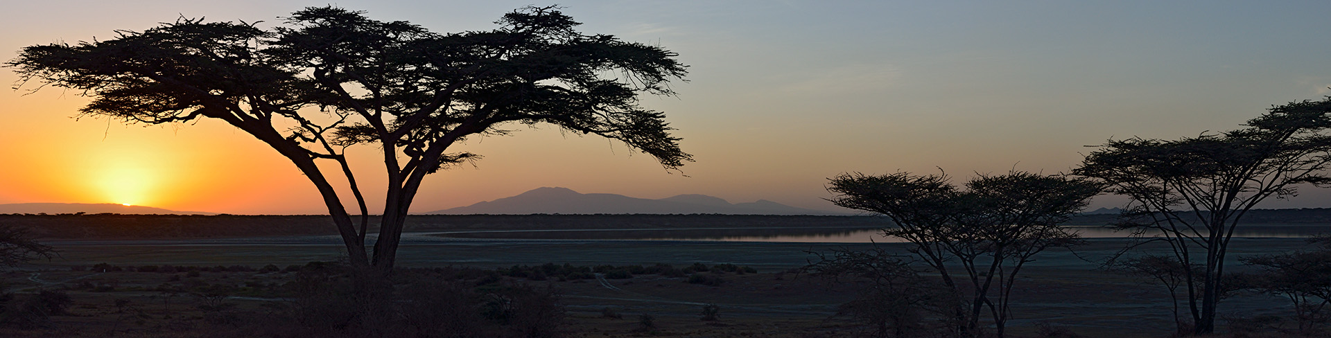 Landschap met parasol acacia in voorgrond, zonsopkomst, het Ndutu meer en Ngorongoro gebergte in achtergrond.