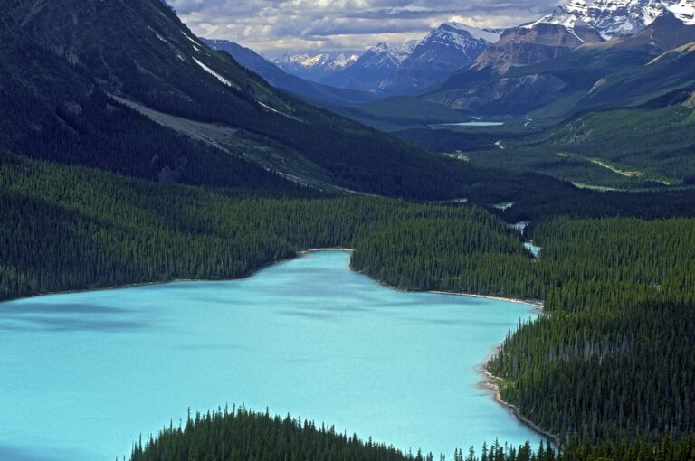 Peyto Lake