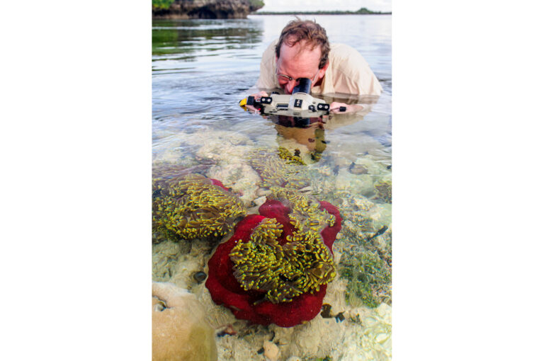 A photographer is in the water with an underwater camera housing and photographing a sea anemone
