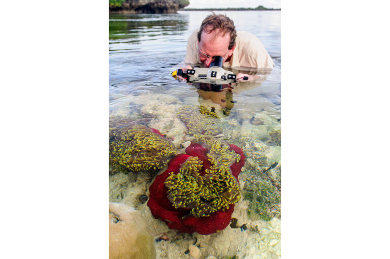 Photographer photographing sea anemone with camera in underwater house