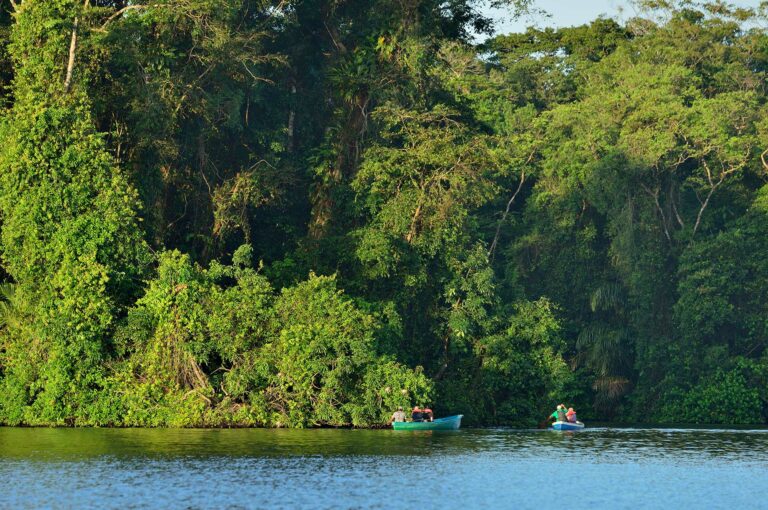 Tourists in boats entering the lowland rainforest of Tortuguero National Park
