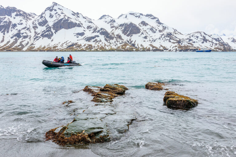 Toeristen in een Zodiac in Right Whale Bay, South Georgia.