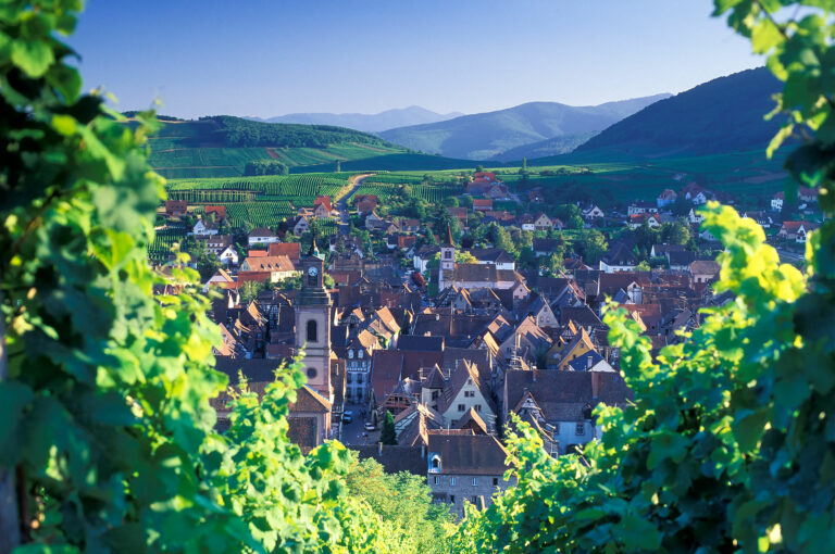 Het centrum van Riquewihr gezien vanuit de wijnvelden rondom het plaatsje