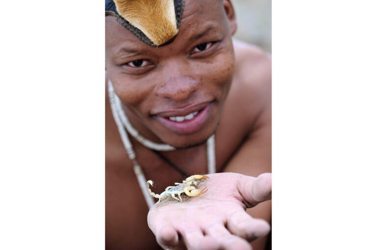 A young San Bushman holds a scorpion on his hand