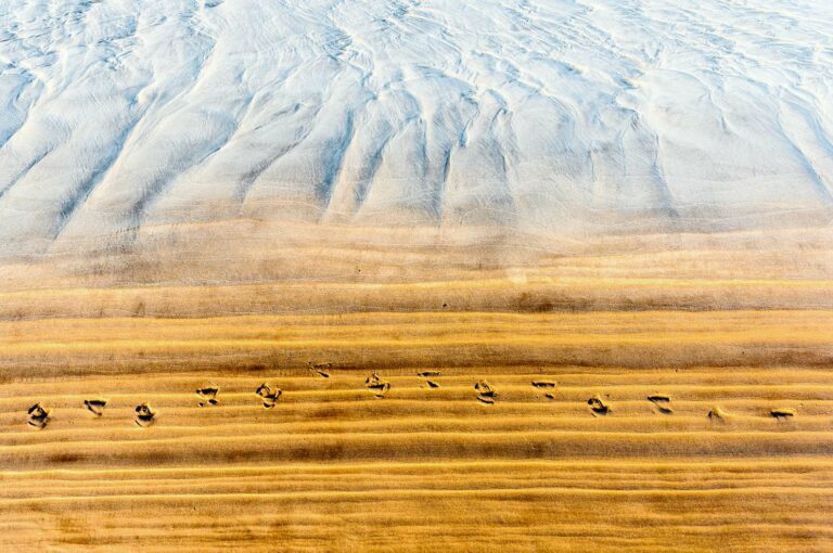 Sand patterns on horizontal and vertical part of a beach, sunlight coloring the vertical part golden. Also footprints on the vertical side of the gulley.