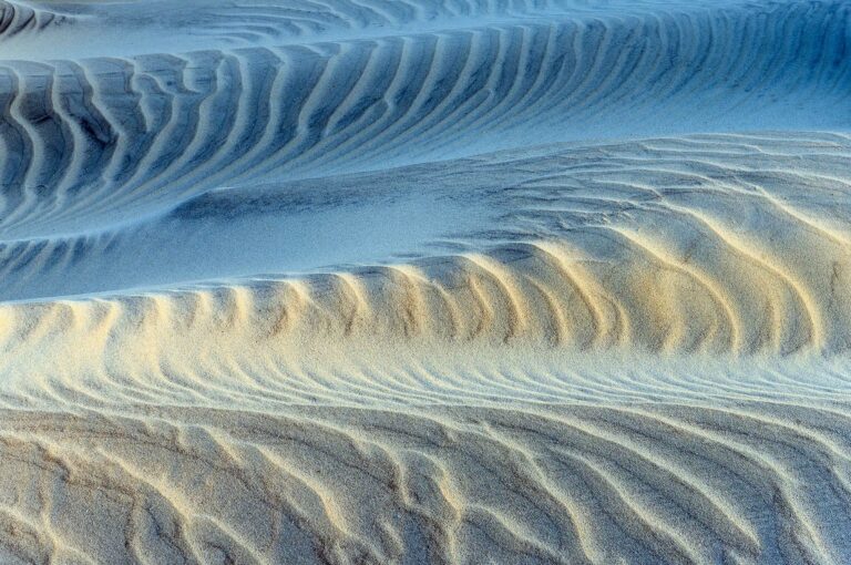 Sand patterns on a dune.