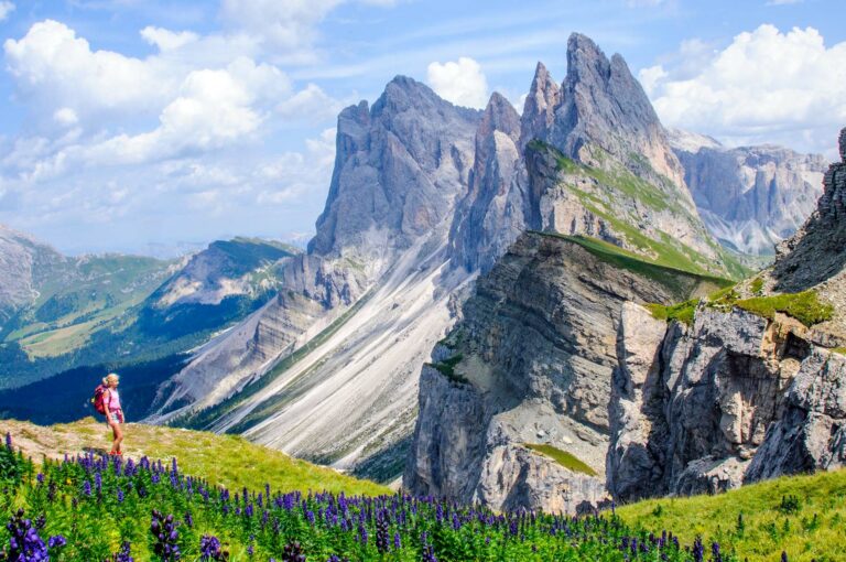 Berglandschap van Dolomieten, met Seceda, wilde akonieten en wandelaar.