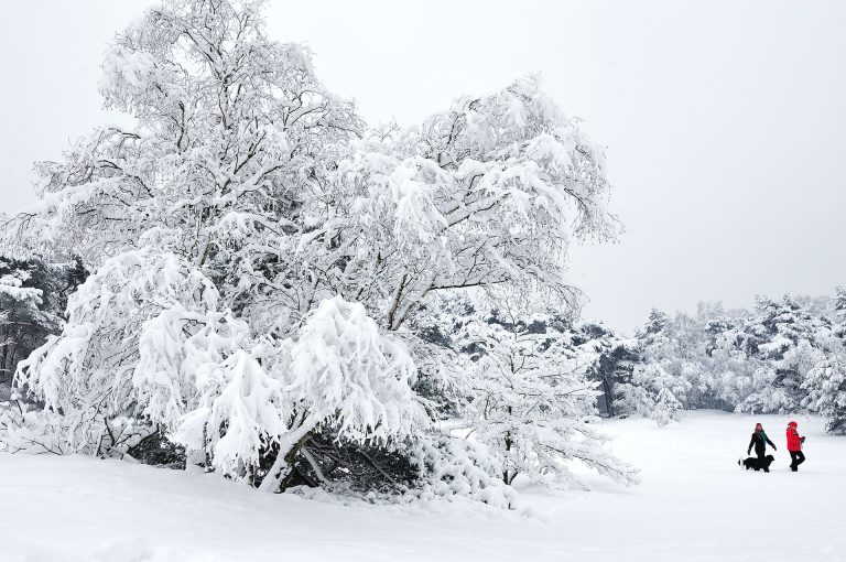 Wandelaars in besneeuwde stuifzandgebied Lange Duinen