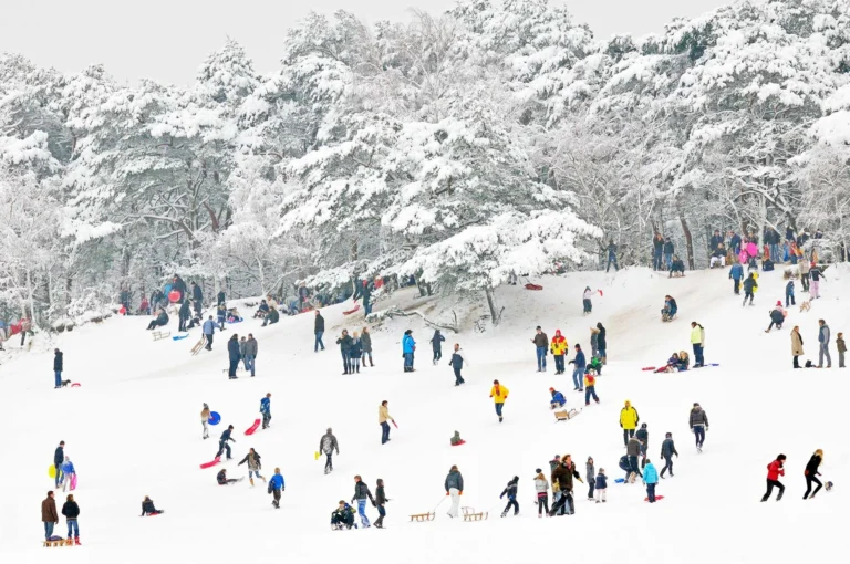 Sledges in wintery Soesterduinen