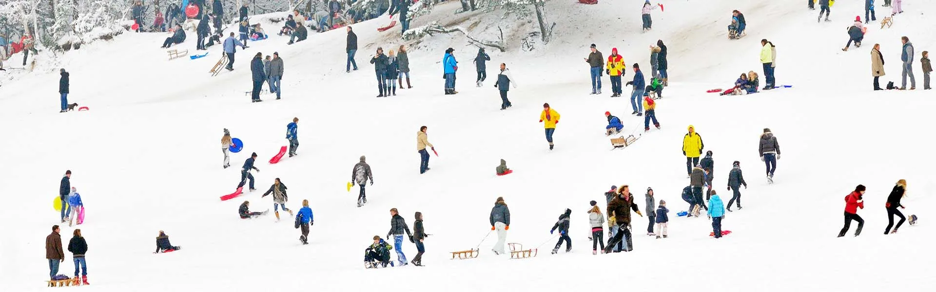 Sleeën in winterse Soesterduinen