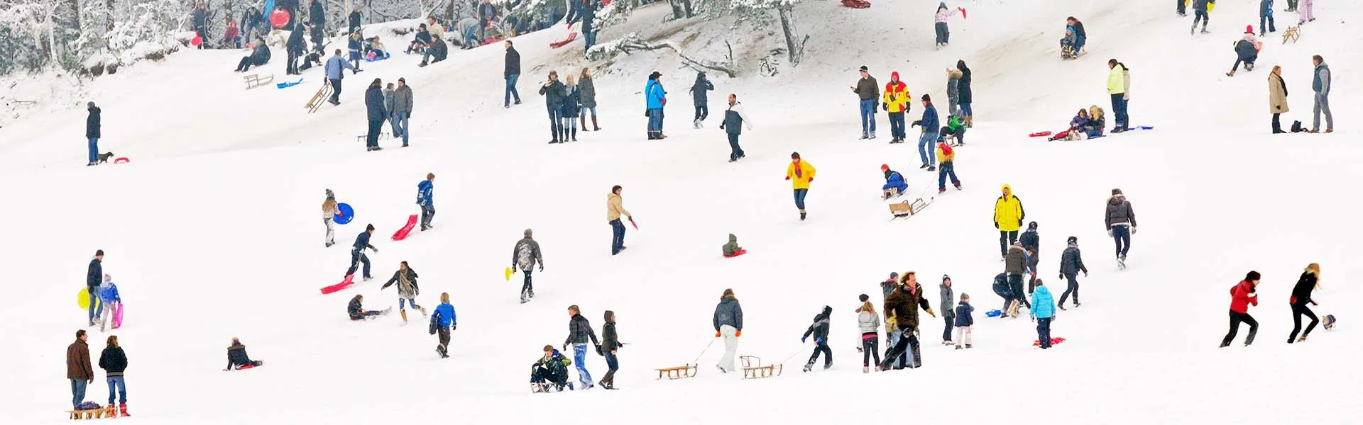 Sleeën in winters natuurgebied