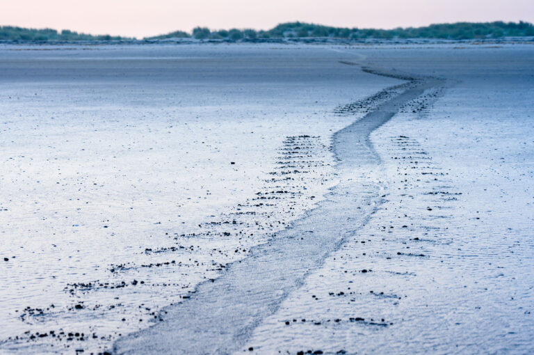 Spoor van een zeehond op strand