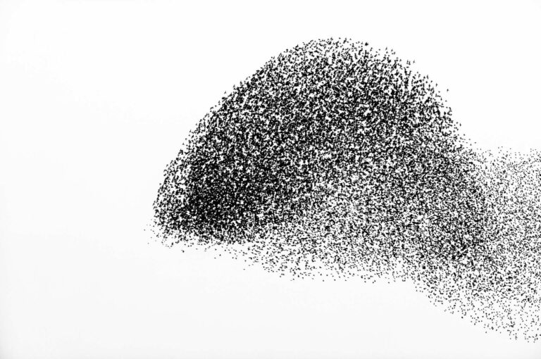 Starling murmuration