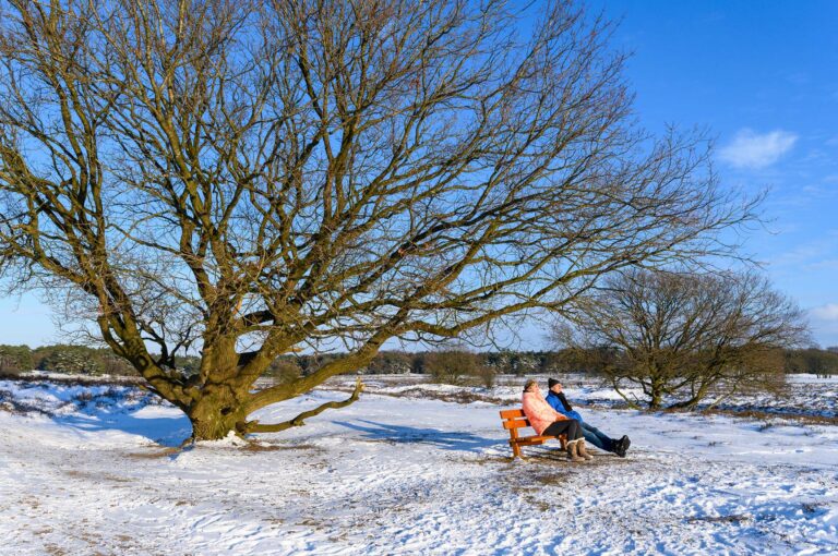 Winter landscape with resting walkers on wooden bench.