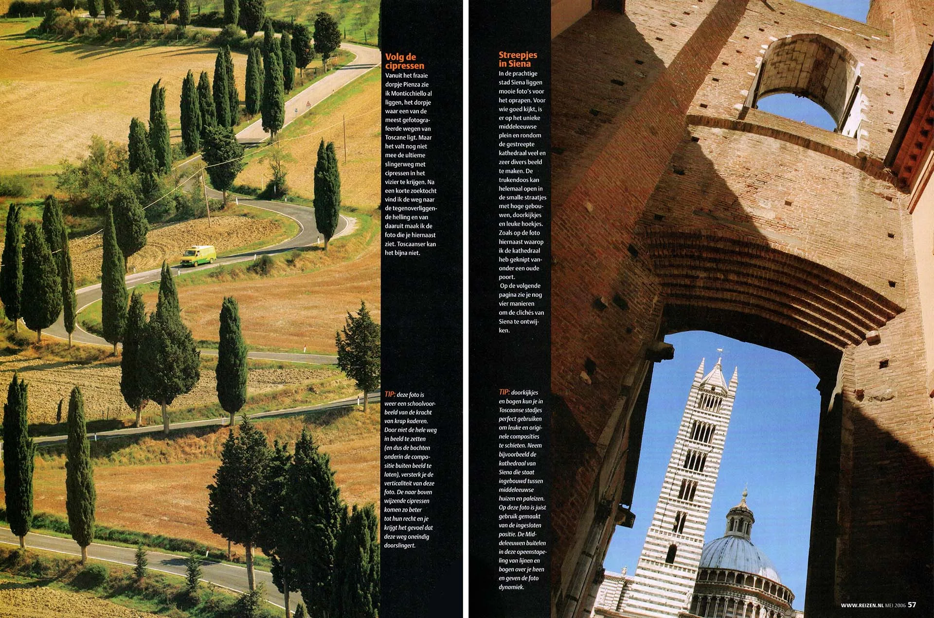 Toscane cipressen & Siena
