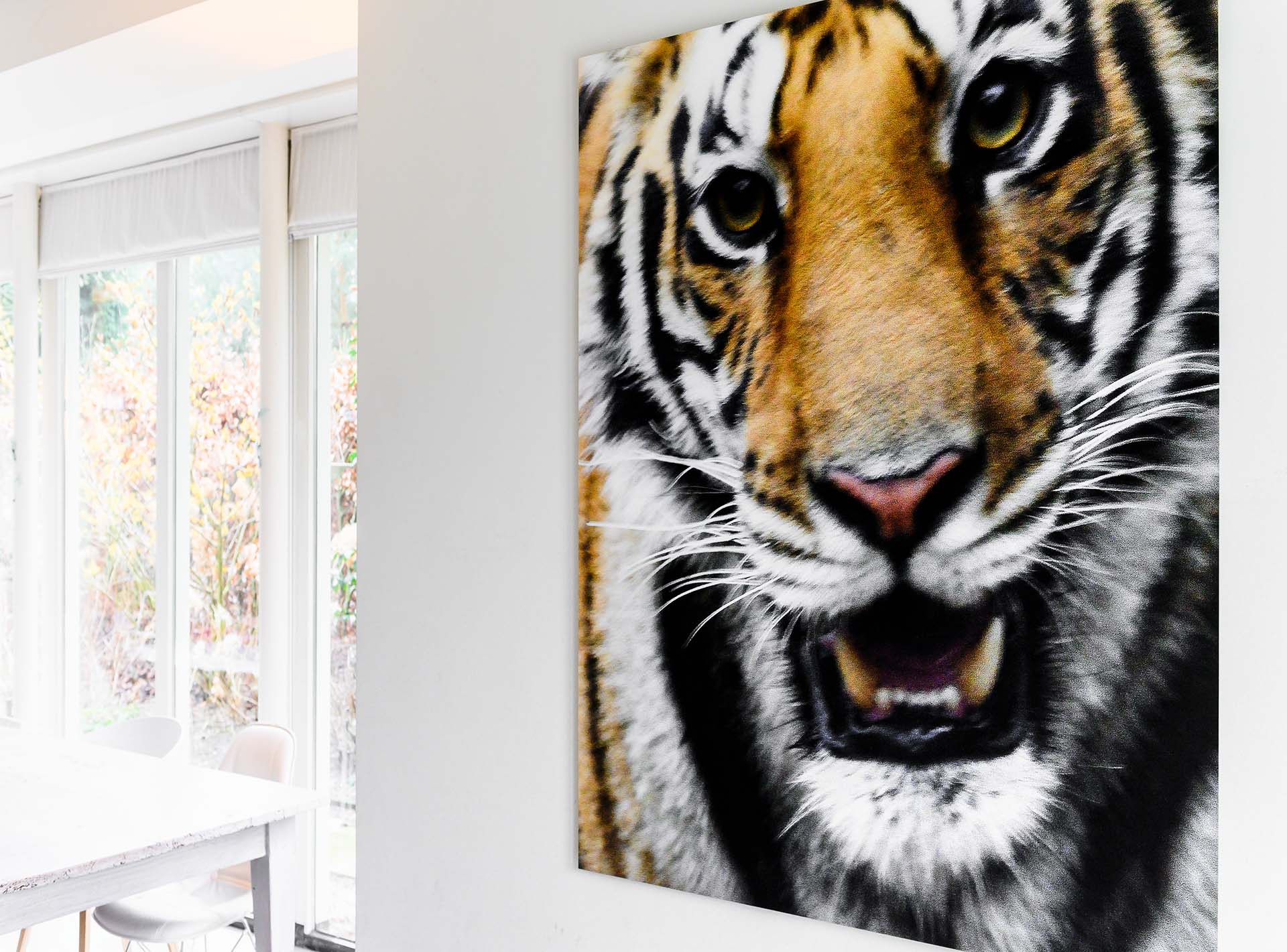 Tiger print on wall
