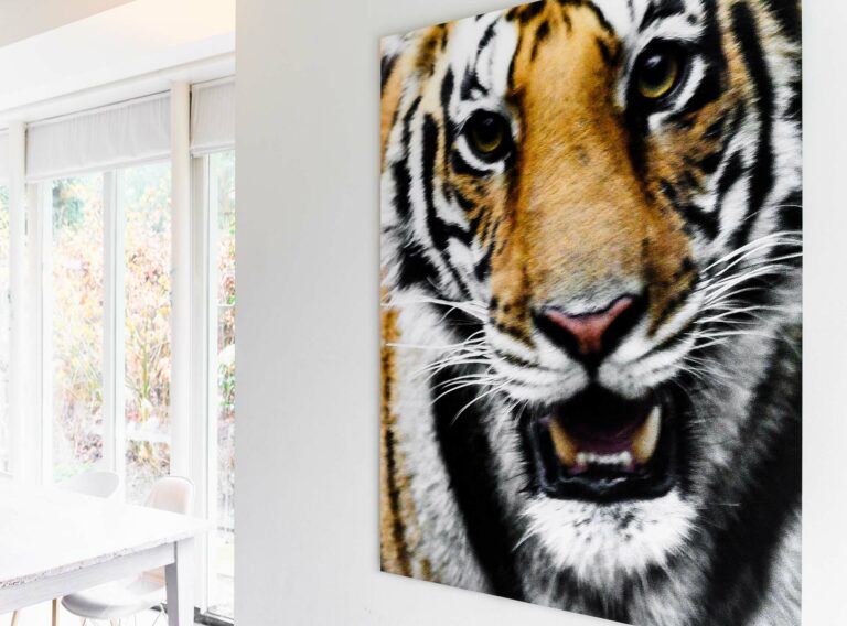 Print van tijger aan muur