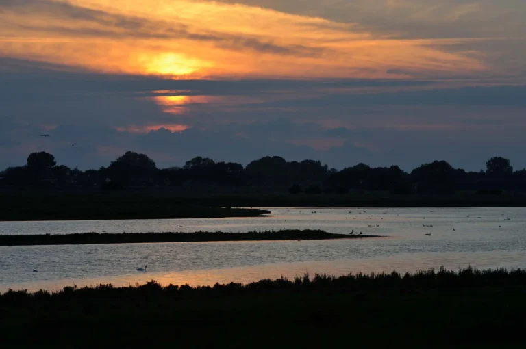 Zonsondergang en vogelrijk rivierenlandschap.
