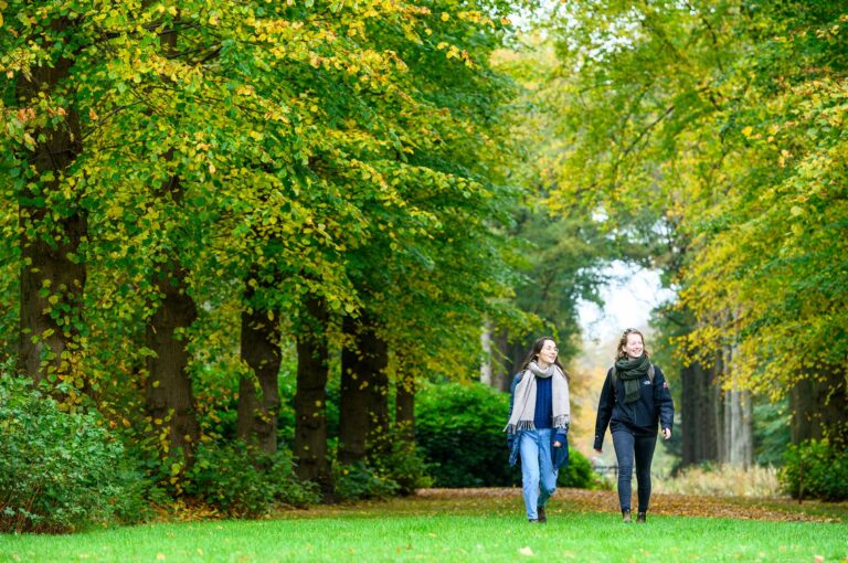 Walkers in forest