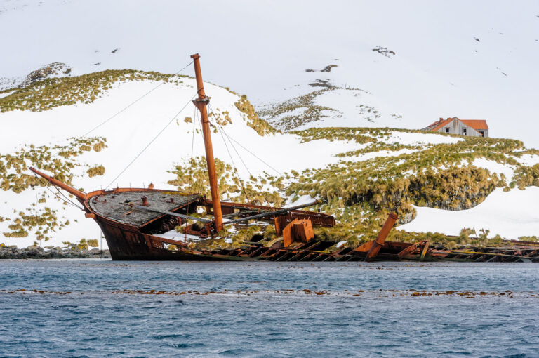 Walvisvaarder gestrand in Prince Olav Harbour