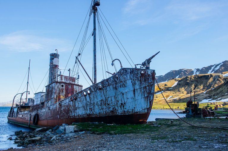 Former whaler vessel Petrel in Grytviken.