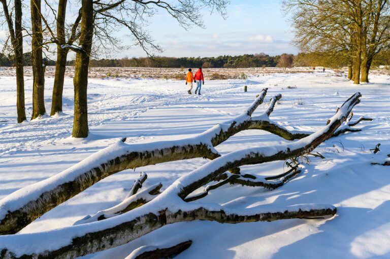 Besneeuwd landschap met boomstammen en twee wandelaars