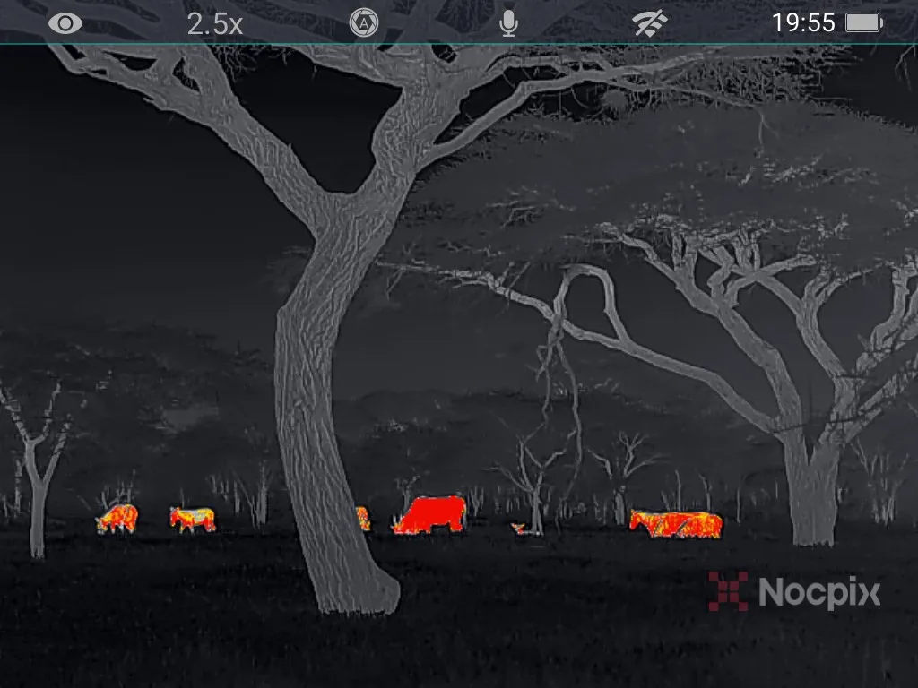 Nocpix image of zebra and eland antilope.