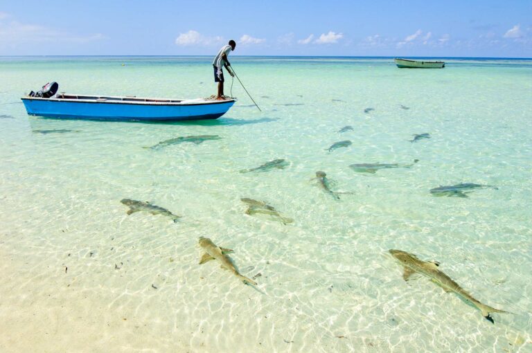 Zwartpunt rifhaaien in ondiep water voor de kust Aldabra, met man in bootje.