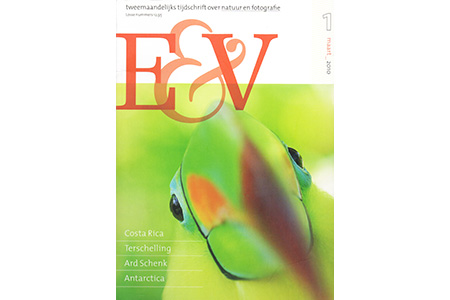 Portret van een zwavelborsttoekan op de cover van E&V magazine.
